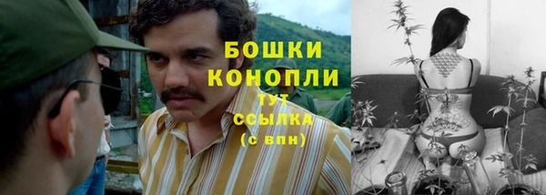 МДПВ Ладушкин