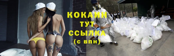 скорость Лагань