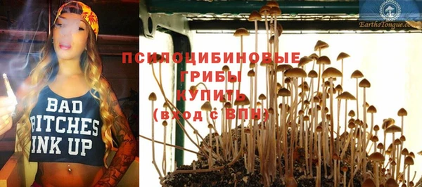 прущая мука Лабытнанги
