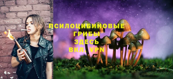 крисы Липки