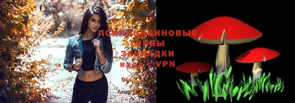 МДПВ Ладушкин